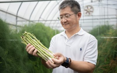 精緻種植與生技產品開發，讓蘆筍重新翻轉溪口崙尾偏鄉